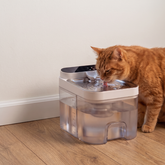 UltraFlow - Filterless Water Fountain