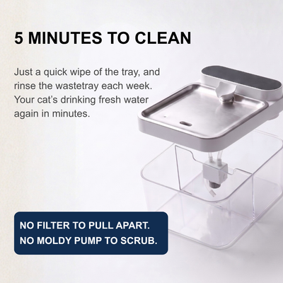 UltraFlow - Filterless Water Fountain