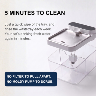 UltraFlow - Filterless Water Fountain