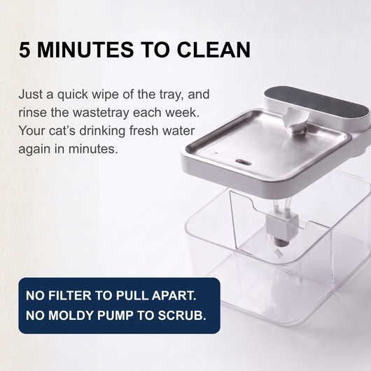 UltraFlow - Filterless Water Fountain