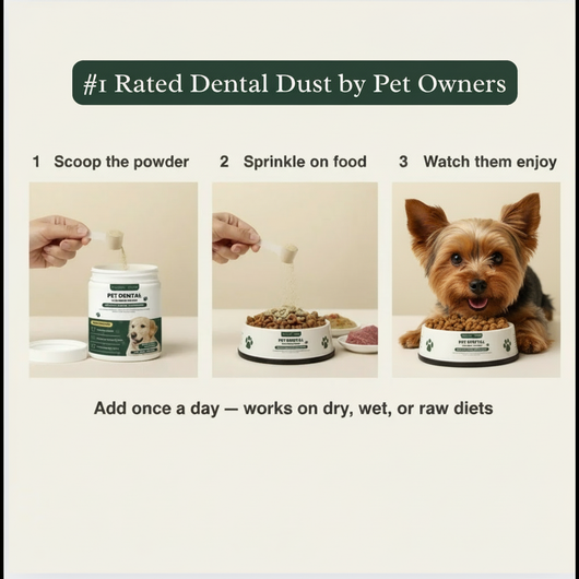 BrightBite™ Dental Powder