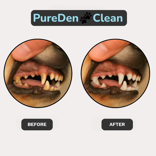 PureDen CleanBite Wipes™