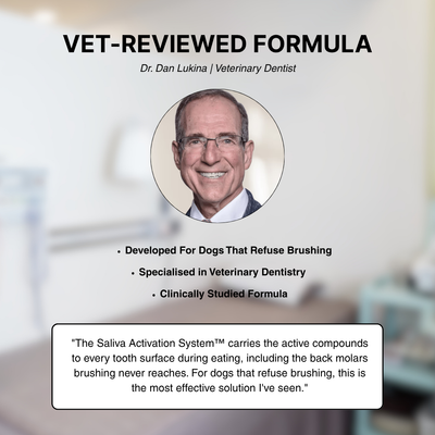BrightBite™ Dental-Powder