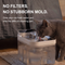 UltraFlow - Filterless Water Fountain