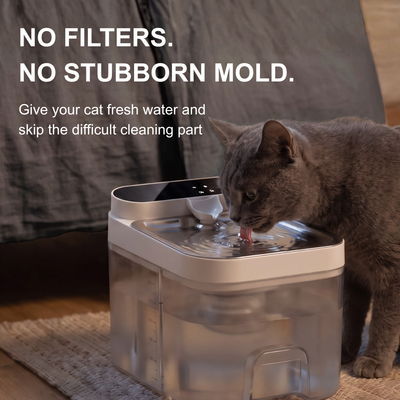 UltraFlow - Filterless Water Fountain