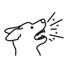 Eliminate Bad Breathe