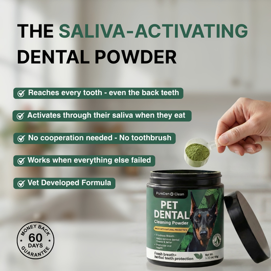 BrightBite™ Dental-Powder
