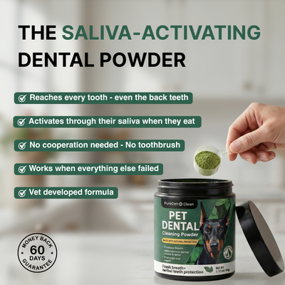 BrightBite™ Dental-Powder