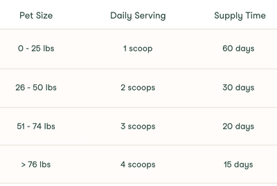 BrightBite™ Dental Dust