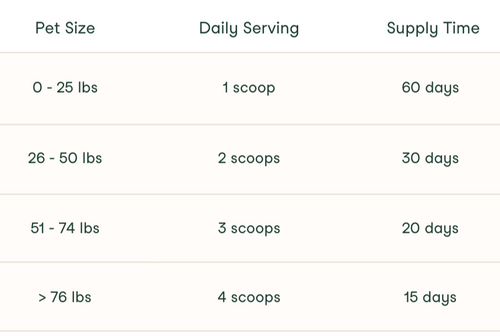 BrightBite™ Dental Dust