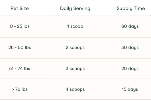 BrightBite™ Dental Dust