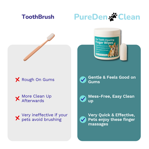 PureDen CleanBite Wipes™