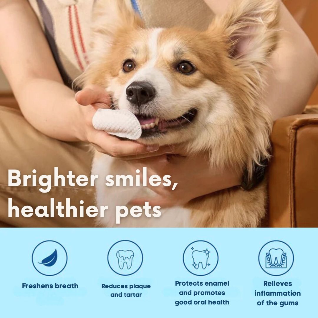 CleanBite Wipes™