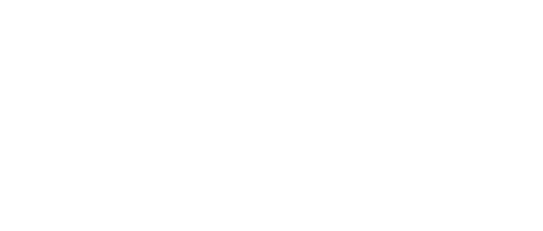 PureDenClean