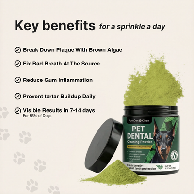 BrightBite™ Dental-Powder
