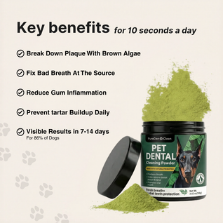 BrightBite™ Dental-Powder