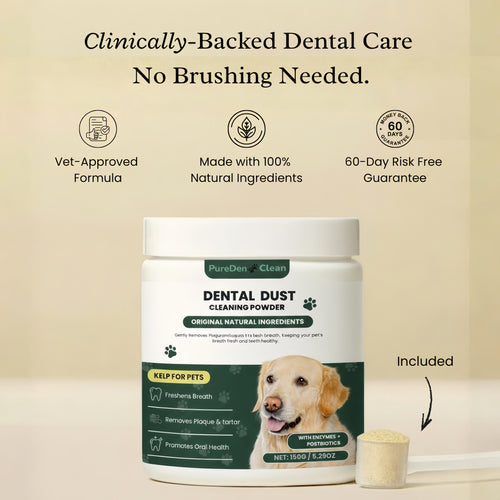 BrightBite™ Dental Dust
