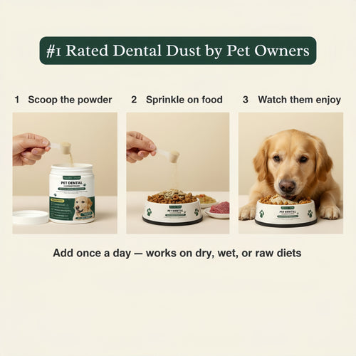 BrightBite™ Dental Dust