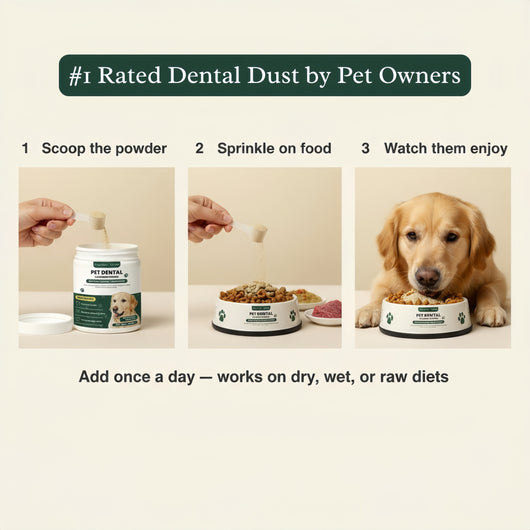 BrightBite™ Dental Dust