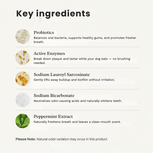 BrightBite™ Dental Dust