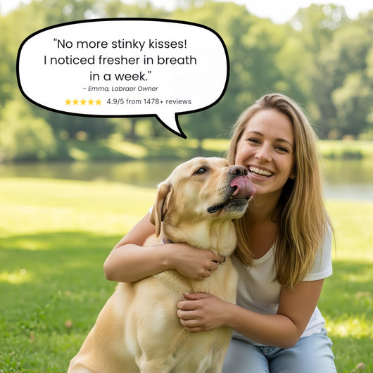 BrightBite™ Dental Dust