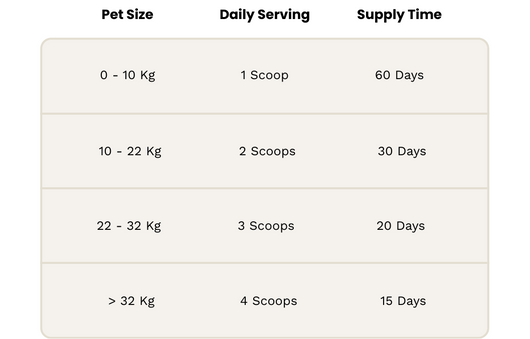 BrightBite™ Dental Powder