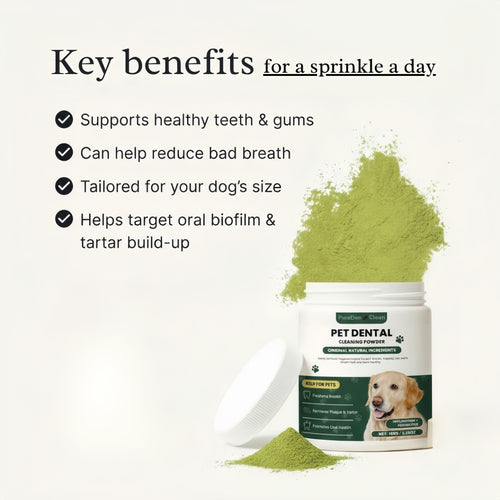 BrightBite™ Dental Dust