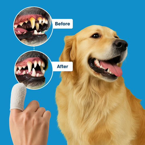 PureDen CleanBite Wipes™